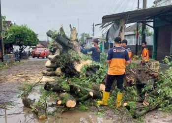 Hujan Deras Picu Sejumlah Bencana di Rembang, Warga Diimbau Waspada