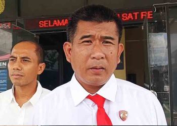 Viral Kucing di Blora Mati Akibat Ditendang, Pelaku Diperiksa