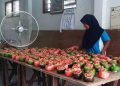 Kue Keranjang dari Wirosari Grobogan Banjir Orderan Jelang Imlek