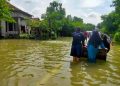 4 Warga Pati Meninggal Akibat Leptospirosis yang Meningkat saat Banjir