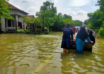 4 Warga Pati Meninggal Akibat Leptospirosis yang Meningkat saat Banjir