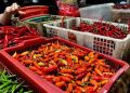 Harga Cabai Rawit di Pekalongan Tembus Rp80 Ribu Jelang Ramadan