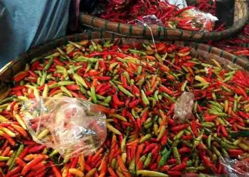 Harga Cabai di Rembang Naik Drastis Jelang Ramadan