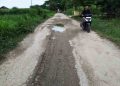 Kerusakan Jalan Purworejo-Banggi Rembang Masuk Skala Prioritas Pembangunan