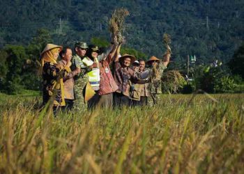 Tingkatkan Hasil Panen, Pemkab Semarang Bakal Tambah LTT Hingga 200 Hektar