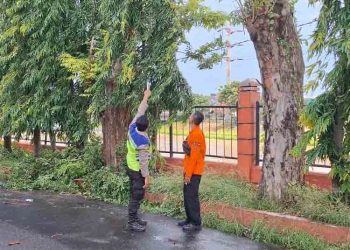 Cuaca Ekstrem di Semarang Hari Ini Sebabkan Satu Korban Tewas Akibat Pohon Tumbang