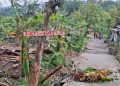 15 Rumah Terdampak Tanah Gerak di Semarang, Begini Respon Walkot 13 15 Rumah Terdampak Tanah Gerak di Semarang, Begini Respon Walkot