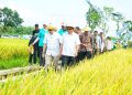 Plt Bupati Pati Buktikan Keberhasilan Panen 10 Ton di Lahan Satu Hektar
