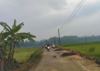 Kastomo Sebut Jalan Winong Menuju Gabus Pati dapat Anggaran Perbaikan dari BNPB
