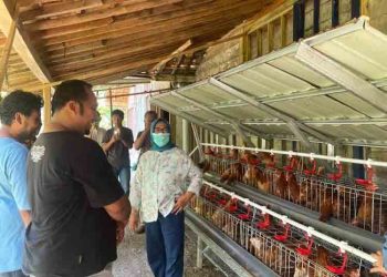 Peternak Milenial di Blora dapat Bantuan Paket Kandang Ayam