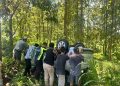 Kronologi Mobil Toyota Avanza Terperosok di Hutan Blora