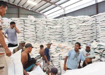 Hasil Panen Petani Blora Diserap dengan Harga Capai Rp8.200