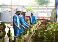 Jaga Stok saat Ramadhan, Kudus dapat Tambahan Pasokan 35.160 Tabung LPG 3 Kg