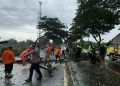 Pohon Sering Tumbang, DPRD Pati Minta DLH Rutin Lakukan Pemangkasan
