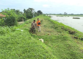 Alami Sleding, BBWS Bakal Geser Afur di Sungai Wulan Kudus