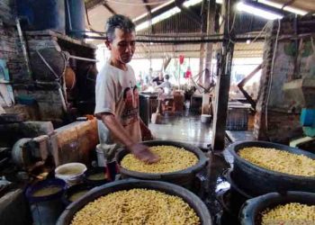 Harga Kedelai Impor Naik, Disdag Kudus Pastikan Stok Masih Aman