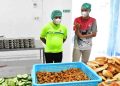 Pastikan Kualitas Gizi MBG, Plt Bupati Pekalongan Tinjau SPPG Desa Nyamok