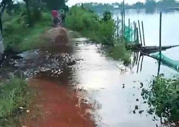 3 Desa di Tirto Pekalongan Terancam Banjir Akibat Tanggul Kritis