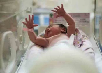 Pemkot Salatiga Tanggung BPJS Bayi dari Keluarga Tertentu, Ini Kriterianya