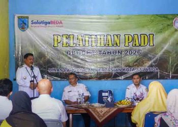 Lahan Sawah Menyusut, Walkot Salatiga Dorong Penanaman Padi di Pot