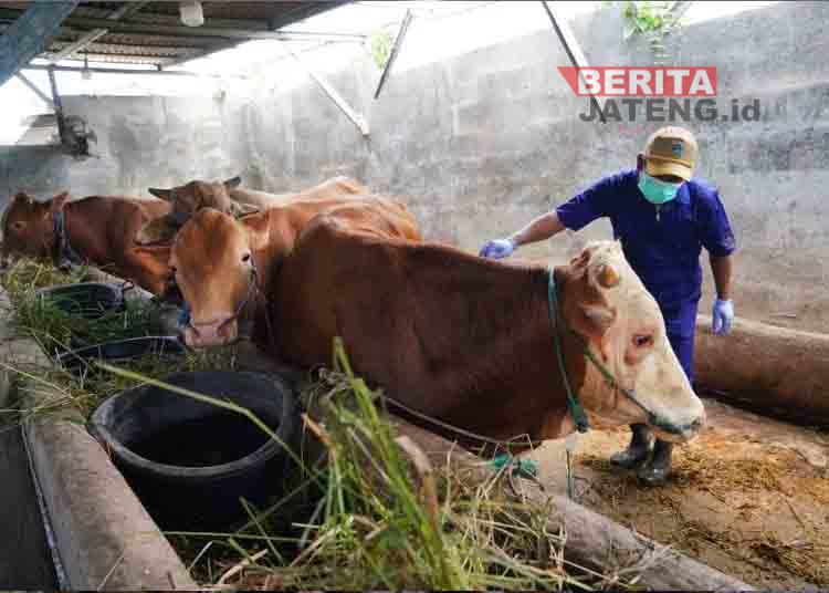 Waka DPRD Jateng Dorong Layanan Kesehatan Hewan Gratis Jangkau Pedesaan 2 Semarang 8