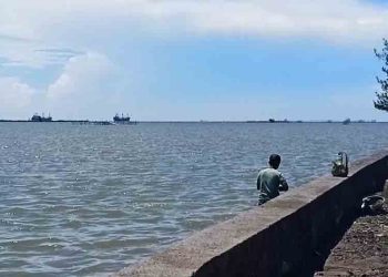 300 Hektar Tambak di Semarang Terdampak Rob, Produksi Ikan Menurun