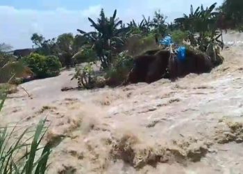 Ratusan KK Terdampak Tanggul Jebol di Sungai Tuntang Wilayah Guntur Demak