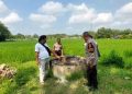 Lansia Ditemukan Tewas di Sumur Desa Temurejo Blora, Diduga Depresi