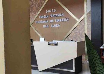 Pengadaan Kaos Pelatihan DP4 Blora Rp151, 1 Juta Ditolak Sistem