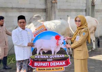 Bupati Eisti’anah Serahkan Sapi Kurban Berukuran Jumbo ke Takmir Masjid Agung Demak