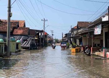 Banjir Rob Genangi Bandengan Kendal Tiap Hari, Aktivitas Warga Terganggu
