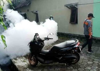 DBD Muncul di Karangmulyo Kendal, Dinkesda Lakukan Fogging
