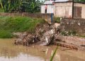 Jembatan Sungai Waridin Roboh, Bupati Kendal Ungkap Perbaikan Terkendala Rekomtek