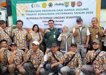 Peternak Kendal dapat Bantuan SPHP 19 Ribu Ton Jagung