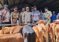 Bupati Semarang Pantau Langsung Kondisi Hewan Kurban H-1 Iduladha
