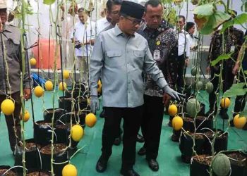 Kunjungi Tuntang Semarang, Yandri Susanto Sebut Siapkan Pasar Ekspor untuk Komoditas Unggulan Desa