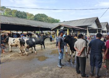 Plt Bupati Pekalongan Tekankan Sinergi 65 Koperasi Merah Putih dan UMKM