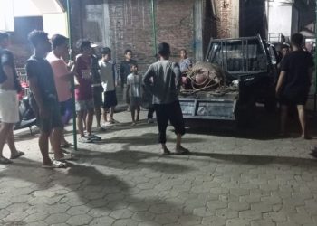 Bupati Tika Panen Semangka, Dorong Tiap Desa di Kendal Punya Produk Unggulan