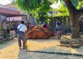 Bupati Tika Panen Semangka, Dorong Tiap Desa di Kendal Punya Produk Unggulan