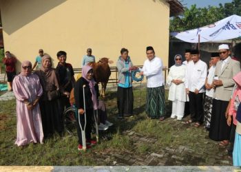 Sekolah di Pekalongan Sembelih 10 Sapi dan 17 Kambing untuk Kurban Iduladha