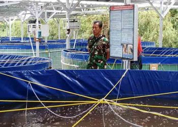 Blora dan Pati Bakal dapat Bantuan 5 Unit Bioflok Senilai Rp1 Miliar