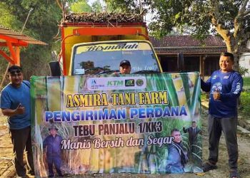 Alih-Alih ke PG GMM, Petani Tebu di Blora Kirimkan Hasil Panen ke Jawa Timur