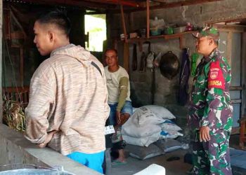 Cegah Penyakit pada Sapi, Babinsa Beri Edukasi ke Peternak Samiran Boyolali