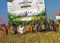 Panen Raya, Bupati Demak Sebut Produktivitas Padi Capai 6,7 Ton Per Hektar