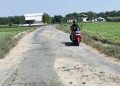 Rusak Parah, DPRD Pati Desak Perbaikan Jalan Pasar Hewan-Bringinwareng 14 Rusak Parah, DPRD Pati Desak Perbaikan Jalan Pasar Hewan-Bringinwareng