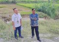 Masuk Prioritas, Jalan Sendangagung-Grawan Rembang Diperbaiki Bulan Ini