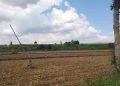 Air Mulai Sulit didapat, Petani di Logede Rembang Harap Pembangunan Sumur Deker