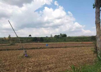 Air Mulai Sulit didapat, Petani di Logede Rembang Harap Pembangunan Sumur Deker