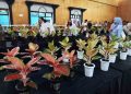 215 Kolektor Aglaonema Hadir di Salatiga untuk Ikuti Kontes Tanaman Hias 16 215 Kolektor Aglaonema Hadir di Salatiga untuk Ikuti Kontes Tanaman Hias