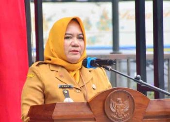 Antisipasi Produksi Padi Turun saat Kemarau, Salatiga Siapkan Pompanisasi